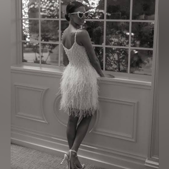 NWT Nadine Merabi Carrie Ivory White Beaded Feather Cocktail Dress Size 2/XS - Picture 14 of 16